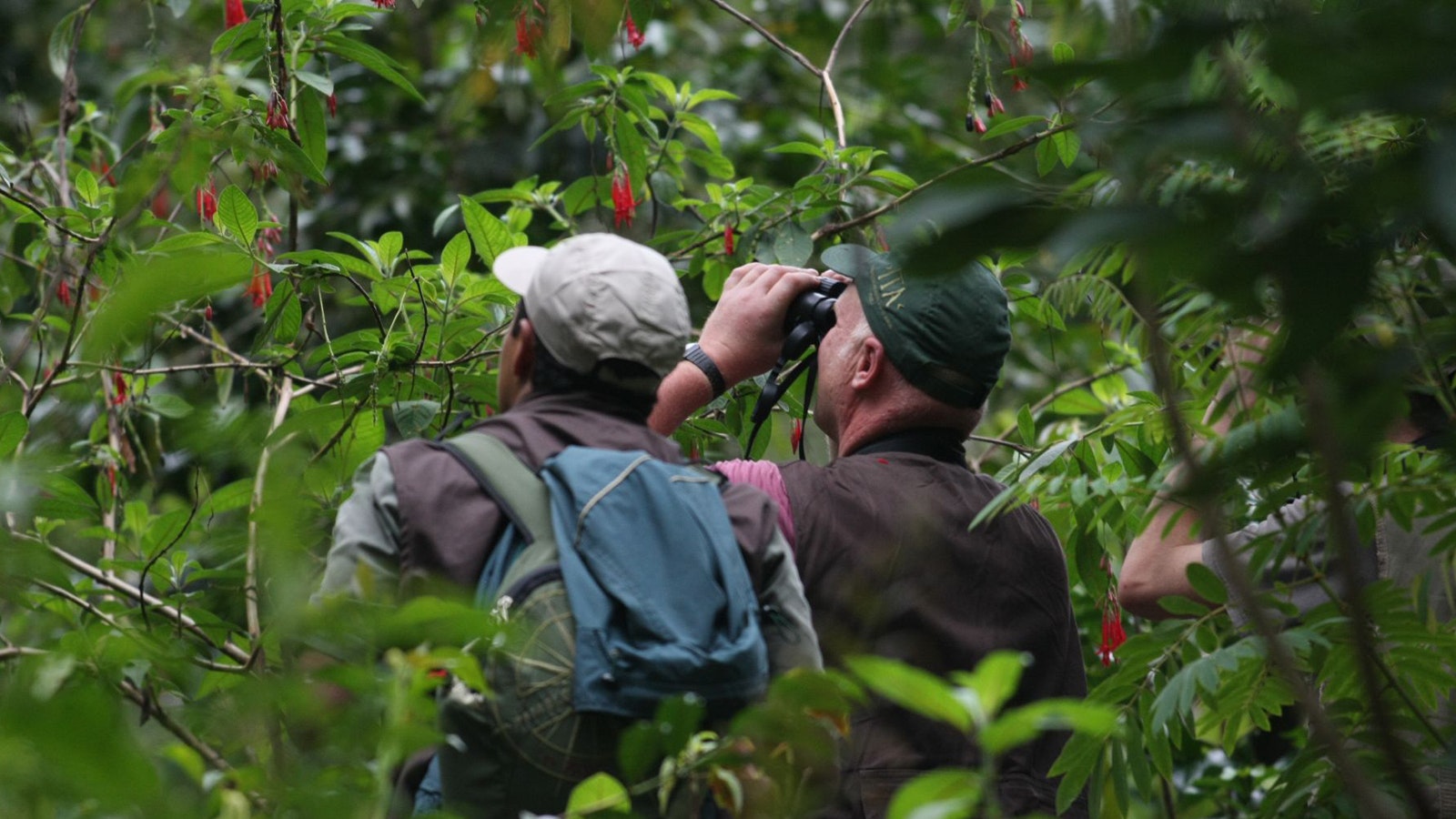 Pmal-01 : Sandoval s Secrets- 2 Days in the Tambopata Jungle - imagen #6
