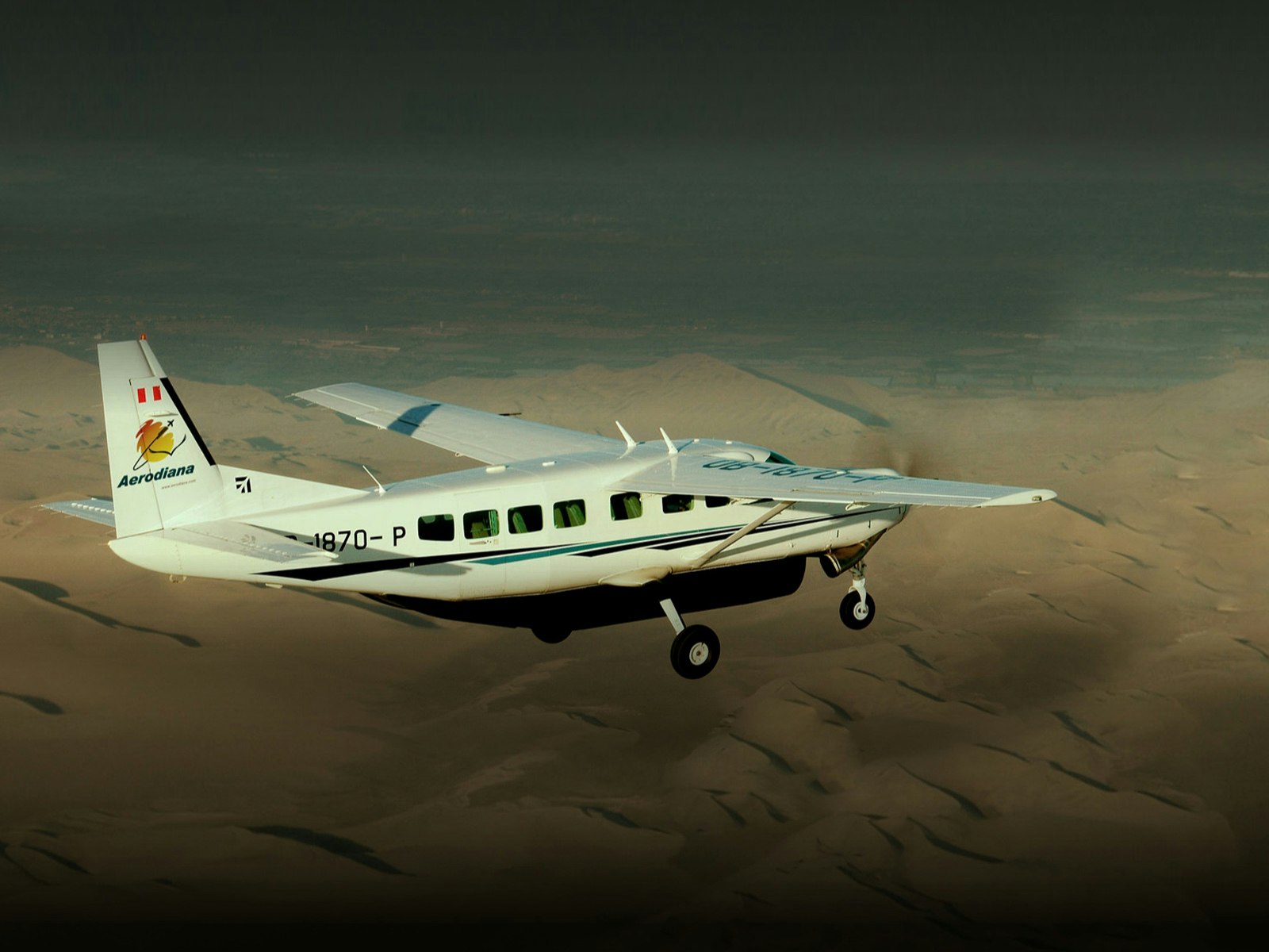 Excursión de día completo a las Líneas de Nazca desde Lima (autobús y vuelo) - imagen #11