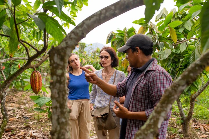 Cacao Farm Excursion Day Trip from Guayaquil - imagen #5