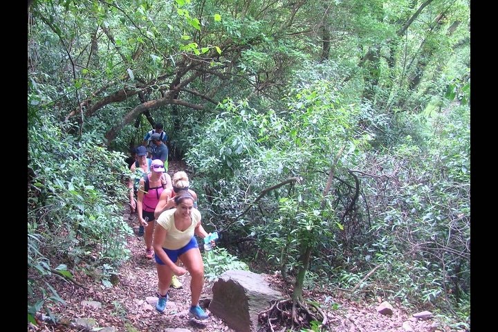 Yungas and El Rey National Park 4x4 Full Day Tour from Salta - imagen #4