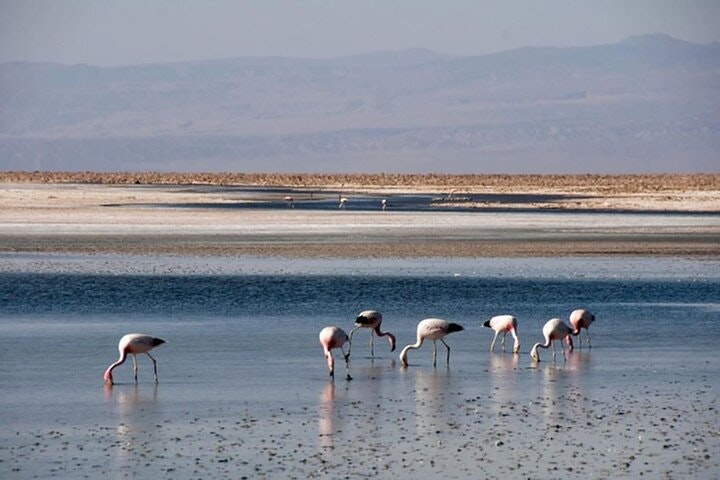 5-Day Tour Best of San Pedro de Atacama - imagen #3