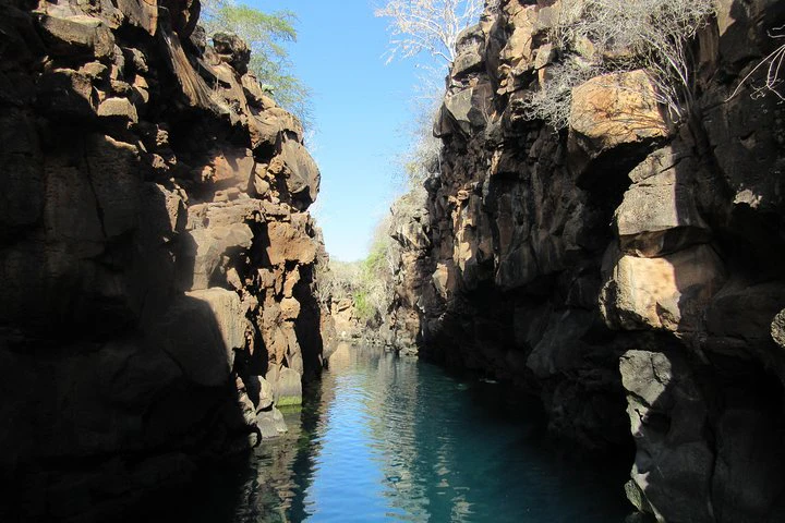 GALÁPAGOS IDEAL (3 días) - imagen #4