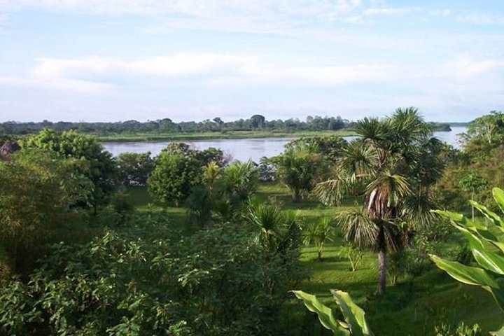 4 Day Trip To Pacaya Samiria In Iquitos - imagen #2