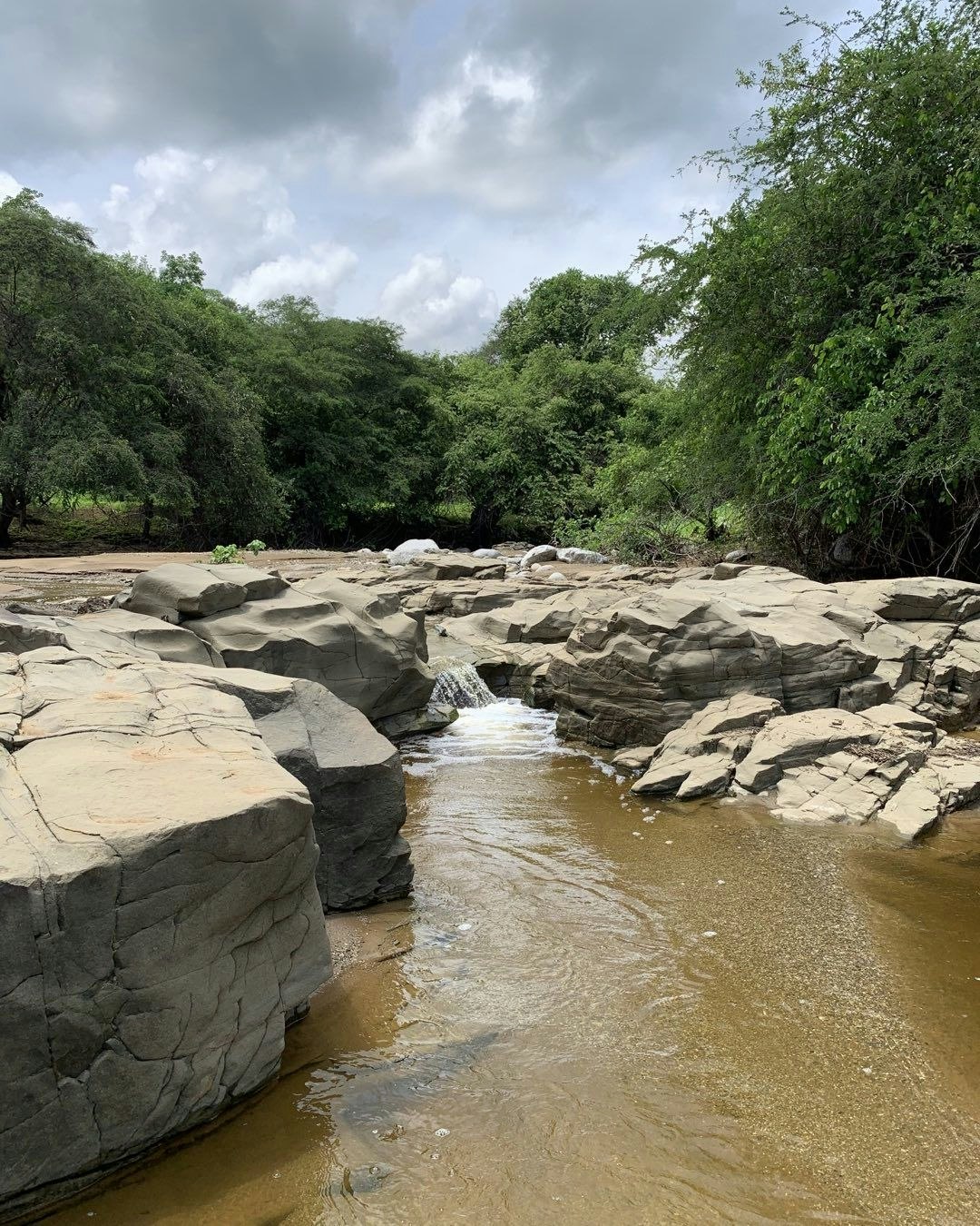 Tum-03 : Cerros de Amotape National Park - Into the Wild - imagen #6