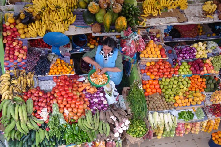 Excursión privada de medio día por la ciudad de Cuenca - imagen #3