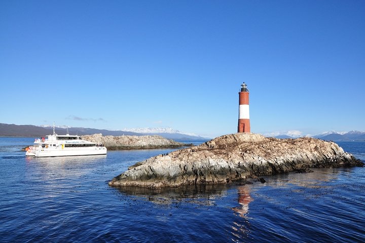 Martillo Island: Boat Trip to the Penguin Colony & Beagle Channel - imagen #5