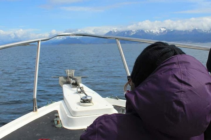 Beagle Channel and Sea Lions Island Catamaran Cruise - imagen #8