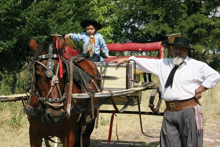 Private Tour: Full-Day Altamira Road Agritourism Experience from Mendoza - imagen #2