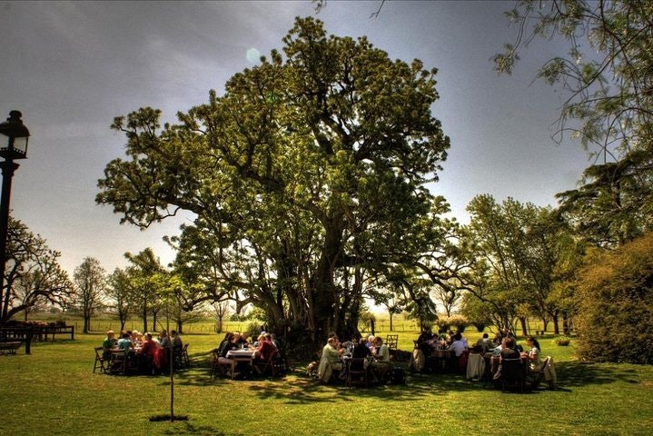 Authentic Farm Day in an Argentine Countryside Estancia - imagen #2