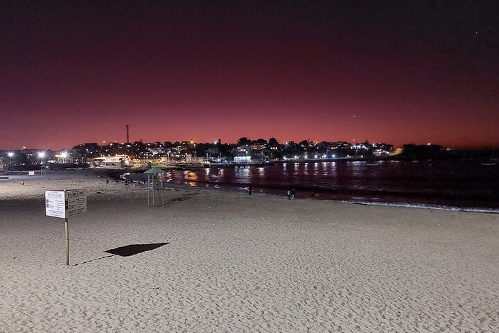 Tour Valparaiso Viña del Mar Reñaca Beach from Santiago. - imagen #8