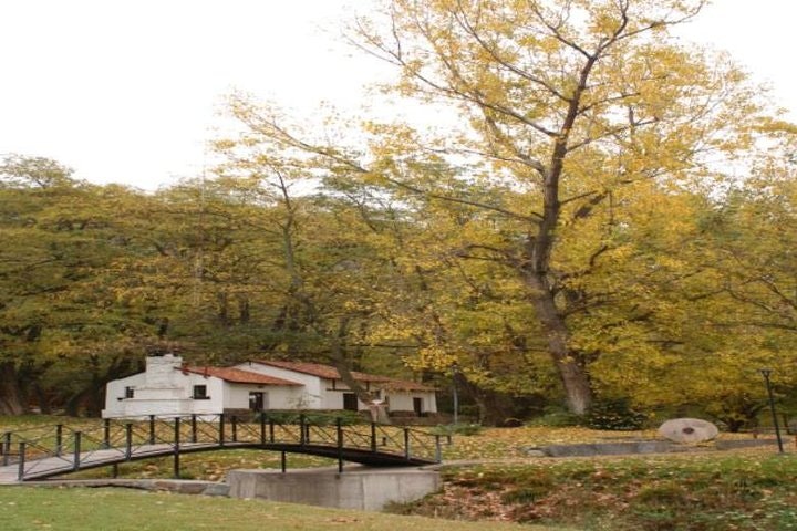 Villavicencio Natural Reserve Half-Day Tour from Mendoza - imagen #3