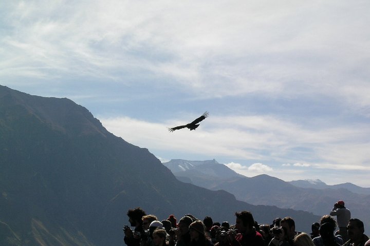2-Day Colca Canyon Trek
