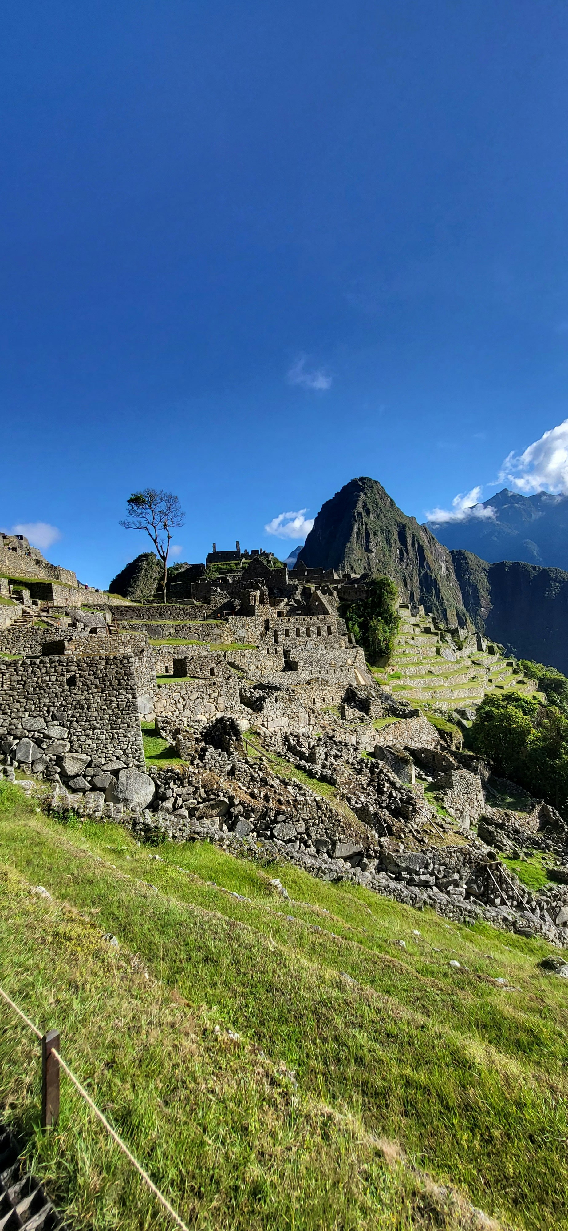 Tour to Machu Picchu from Poroy - imagen #8