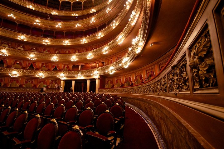Teatro Colon Skip-the-Line plus Palaces of Buenos Aires Tour - imagen #6