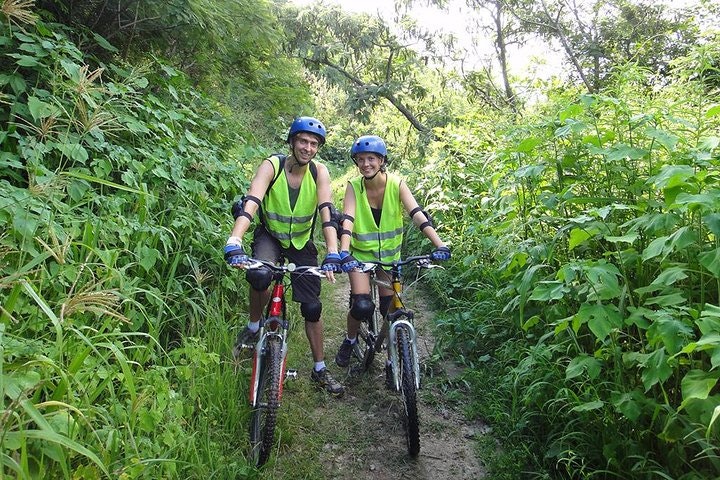 Jungle Wildlife Bike Tour to Iguazu National Park & Jaguar Road - imagen #3