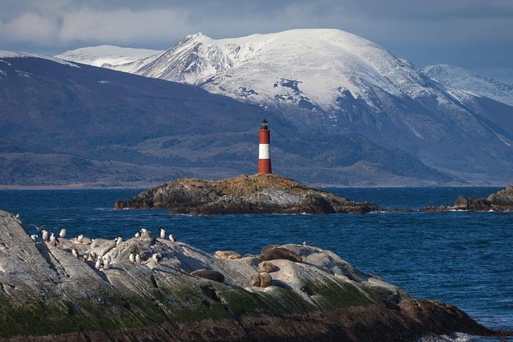 Ushuaia, Navigation Beagle Channel and Isla de Lobos - Half day - imagen #2