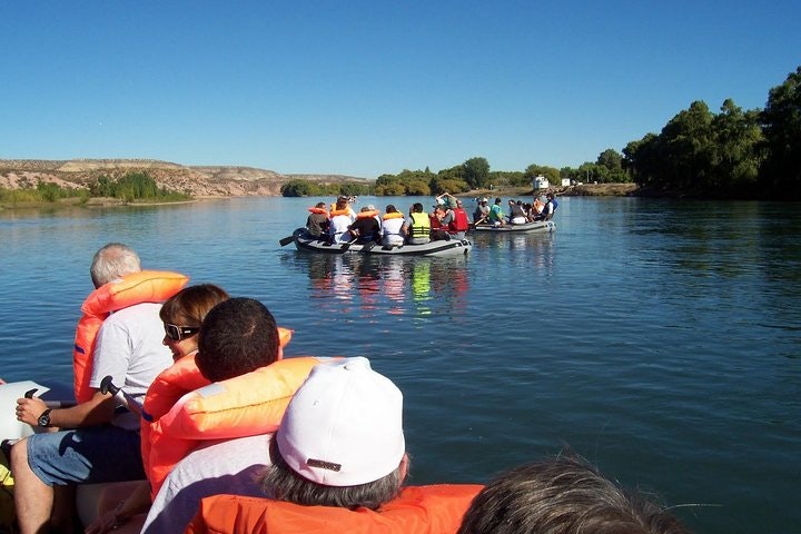 Flyfishing Or Spinning In The Limay River from Bariloche - imagen #5