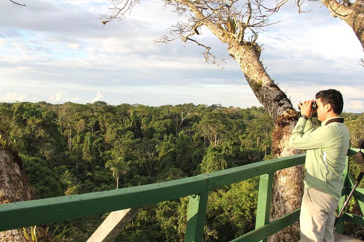 Tour por el Amazonas y el Yasuní: 5 días - 4 noches - imagen #12