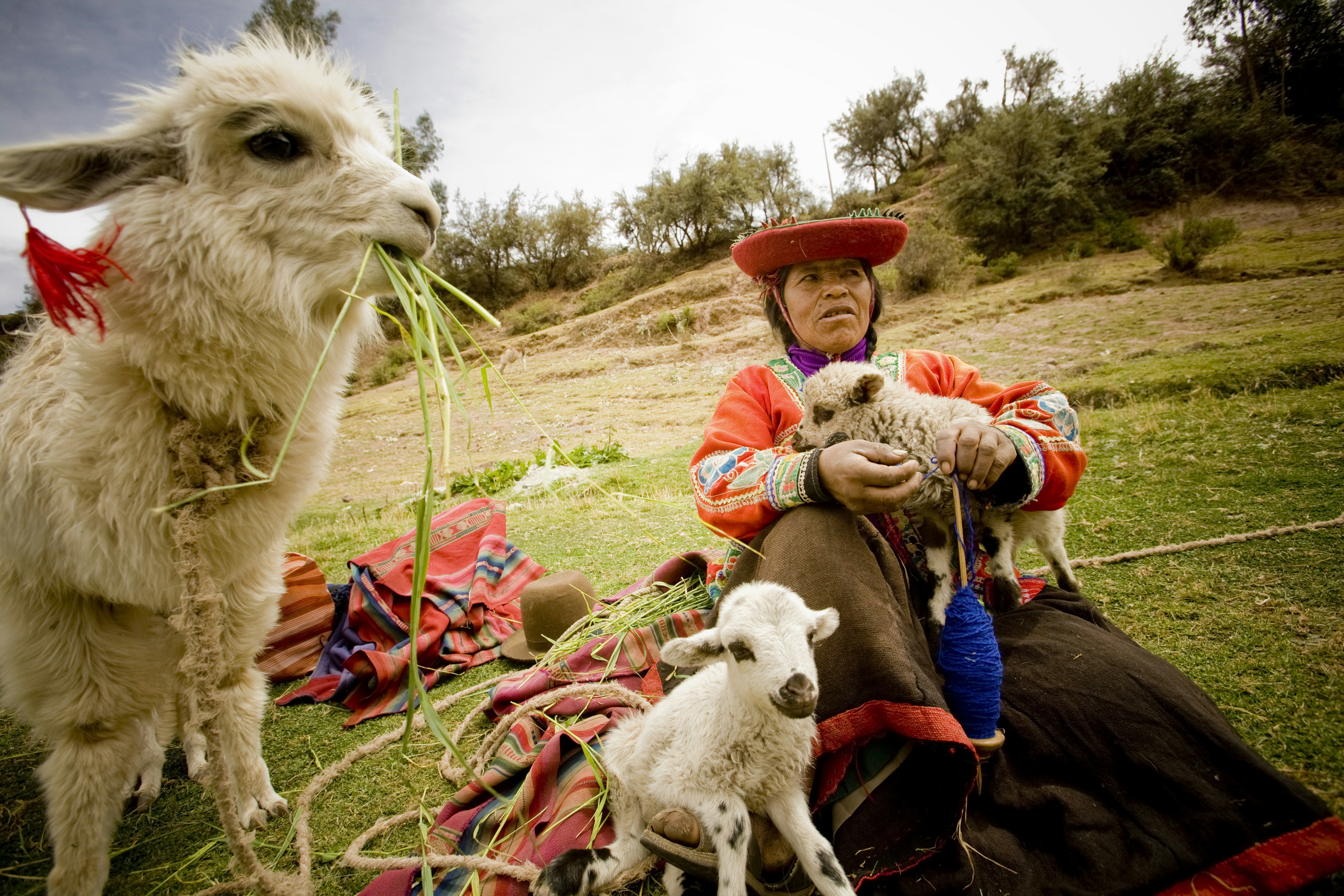Seminar on Ancient Textiles and the Ceramic Workshop of Pablo Seminario in the Sacred Valley, Cusco - imagen #8