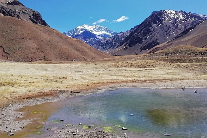 Full Day Trip to Aconcagua Park Argentina and Inca s Lagoon from Santiago - imagen #35
