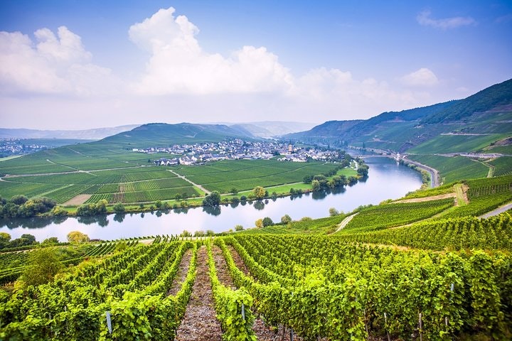 7-Days Unique Experience visiting the best Chilean & Argentinean Wine Valleys! - imagen #13