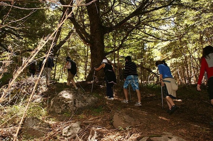 Colorado Hill Trekking Tour from San Martin de los Andes - imagen #5