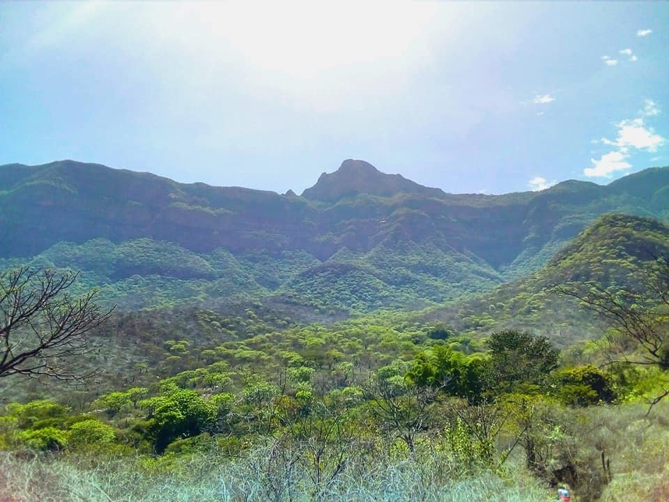 Chi-03 : Chaparri Ecological Reserve Escapade - imagen #3