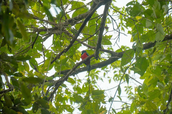Private Tour from Guayaquil to Churute Ecological Reserve - imagen #8