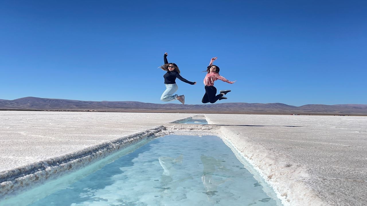 Full-Day Salinas Grandes Tour from Salta - imagen #13