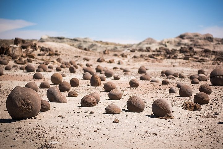 Valle de la Luna, Ischigualasto, San Juan - Excursión día completo - imagen #3