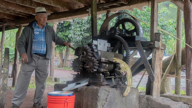 Paseo por la naturaleza con tortugas gigantes - Santa Cruz - imagen #7