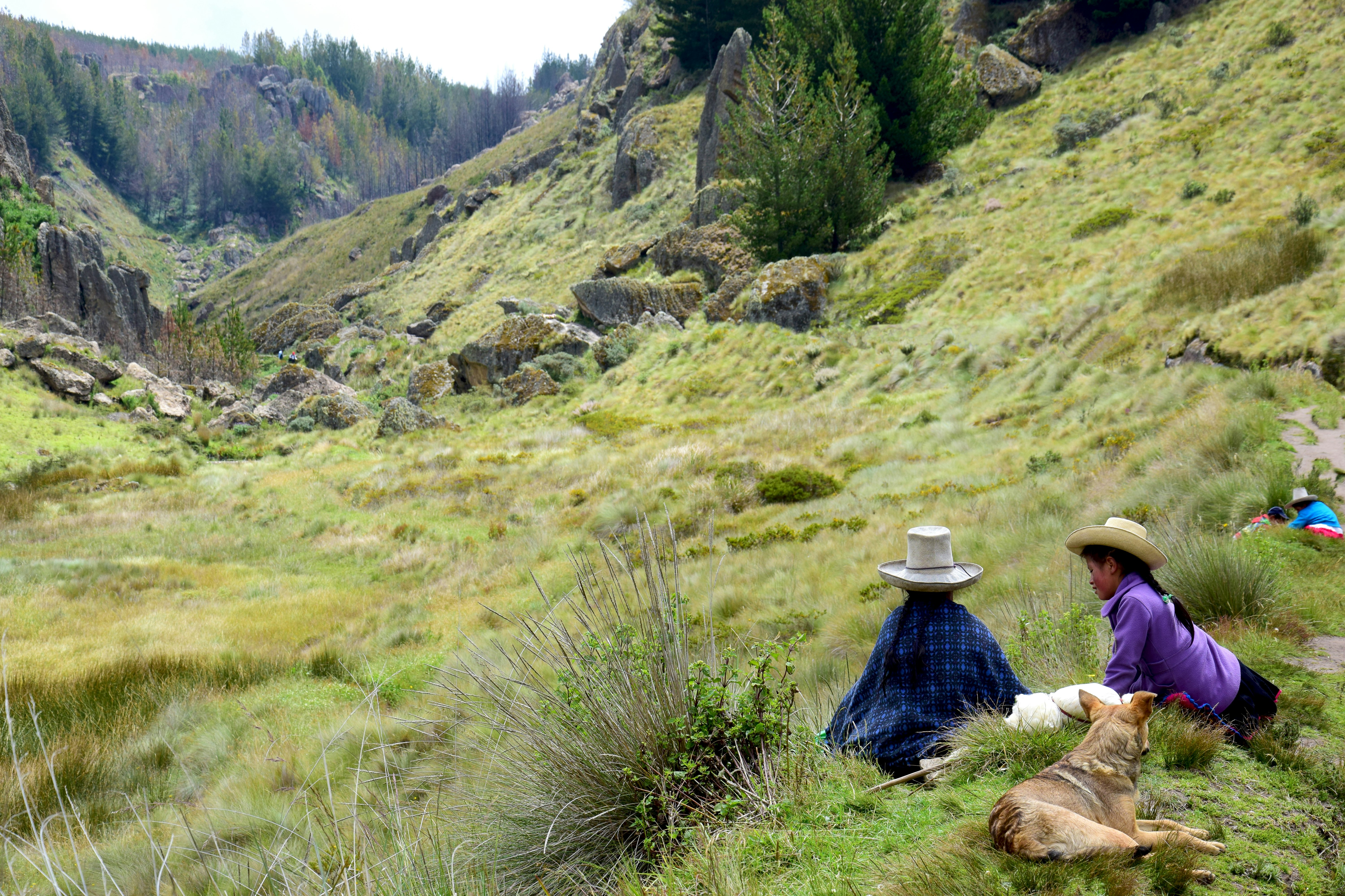 Caj-01: Maravillas de Cumbemayo: desentrañando el bosque de piedra - imagen #7