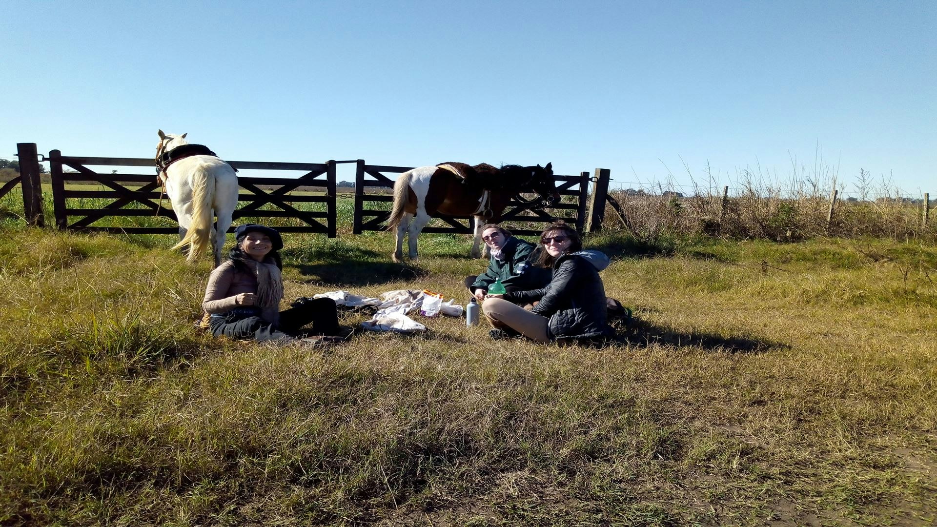 Horseback Riding Experience in Carlos Keen - imagen #8