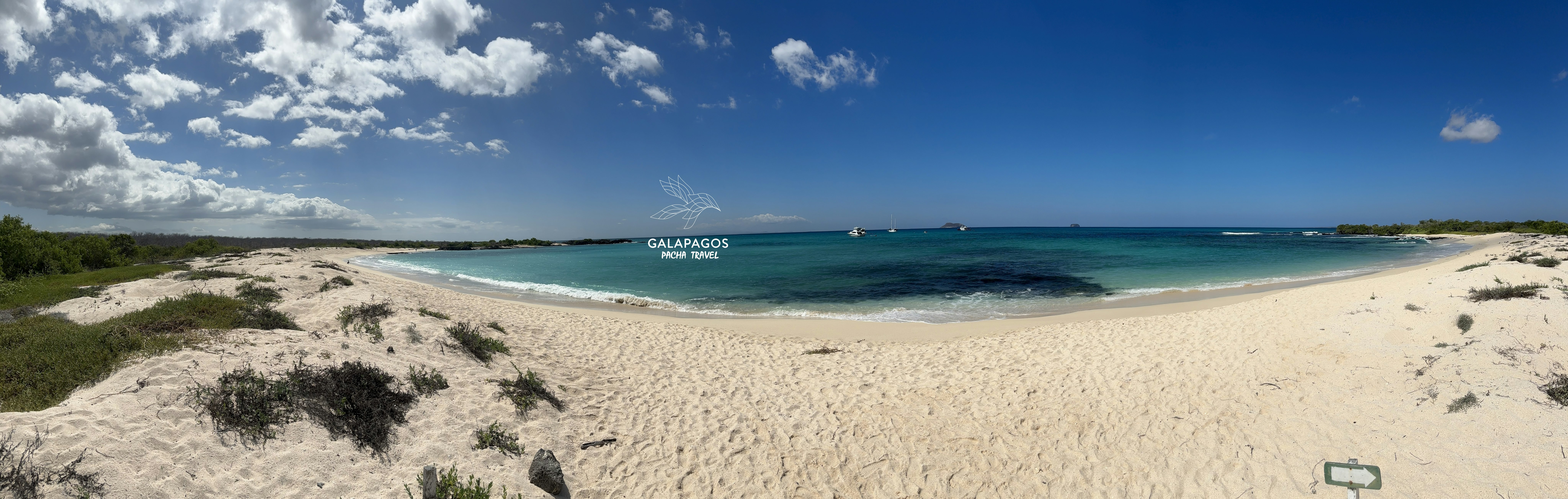 5 day / Sta. Cruz Highlands & C. Darwin RS, Bartolome, N. Seymour - imagen #17