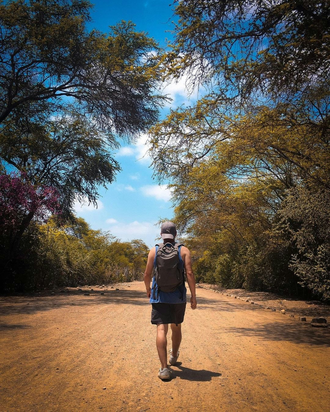 Chi-01 : Túcume s Enigmatic Pyramids and Pomac Rainforest - imagen #3