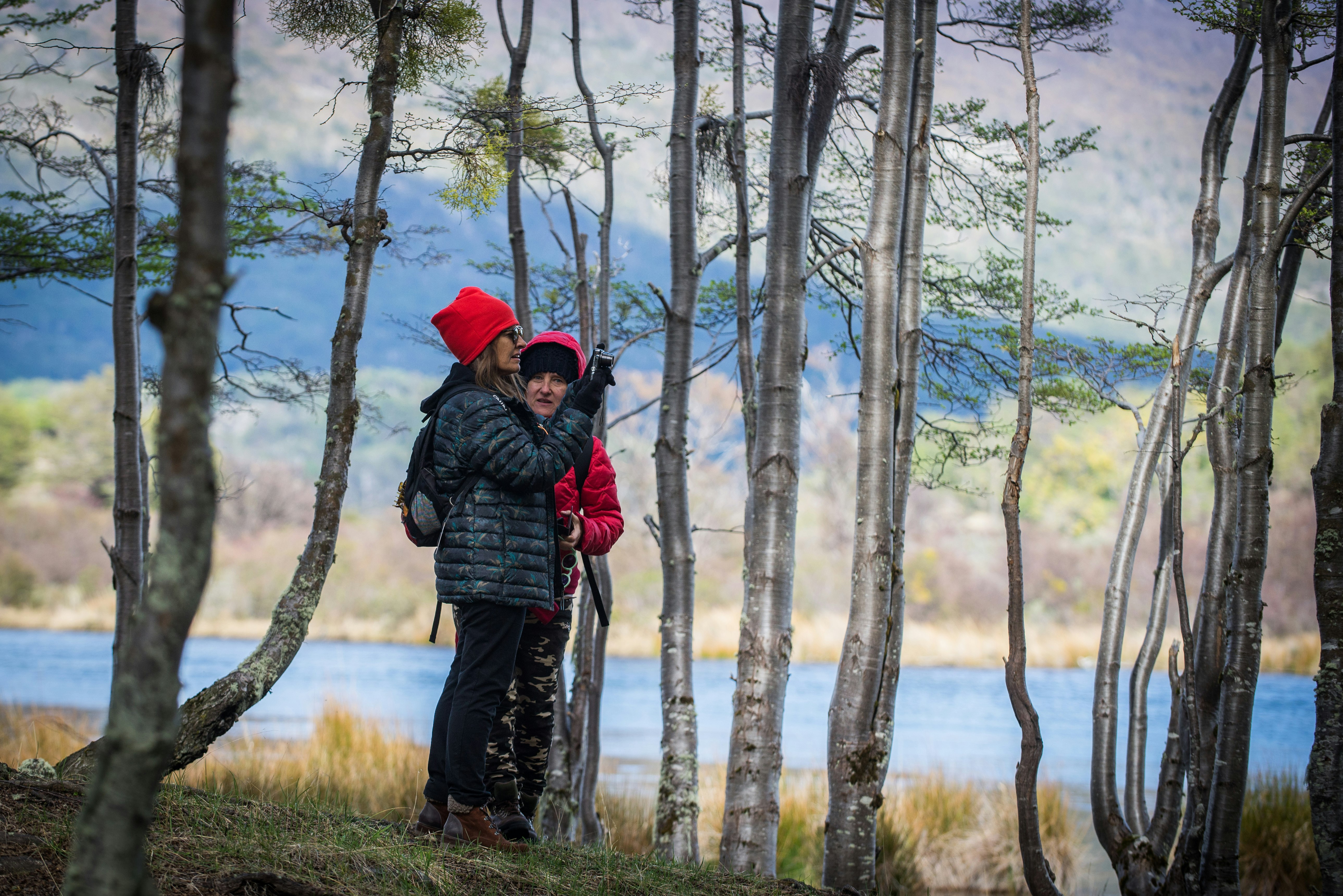 2-Day Ushuaia Escape with Optional Airfare from Buenos Aires - imagen #9