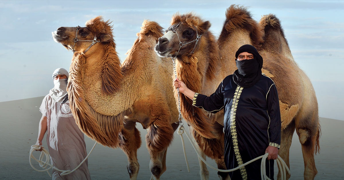 Ica-04 : Camel Ride - Unforgettable Desert Experience - imagen #2