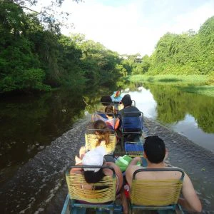 BO-RUR-01: Rurrenabaque | Excursión para observar la fauna amazónica | 3 días/2 noches: Pampas y fauna - imagen #6