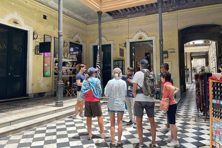 Buenos Aires Walking Tour Including Colon Theatre and MALBA Museum - imagen #11