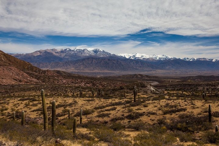 Cachi Full Day Tour from Salta - imagen #5