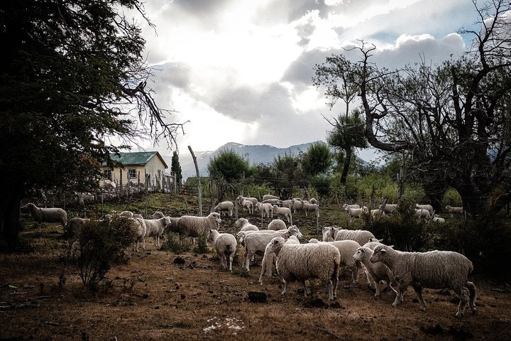 Nibepo Aike Ranch Day and Horseback Riding from el Calafate - imagen #15