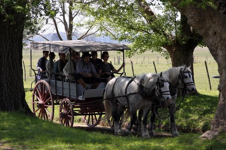 Authentic Farm Day in an Argentine Countryside Estancia - imagen #5