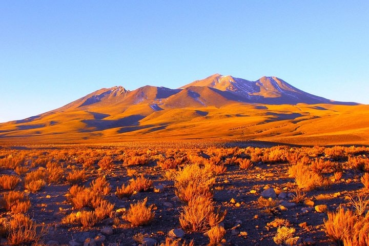 San Pedro de Atacama, Altiplanic Lagoons and Piedras Rojas - Full day - imagen #5