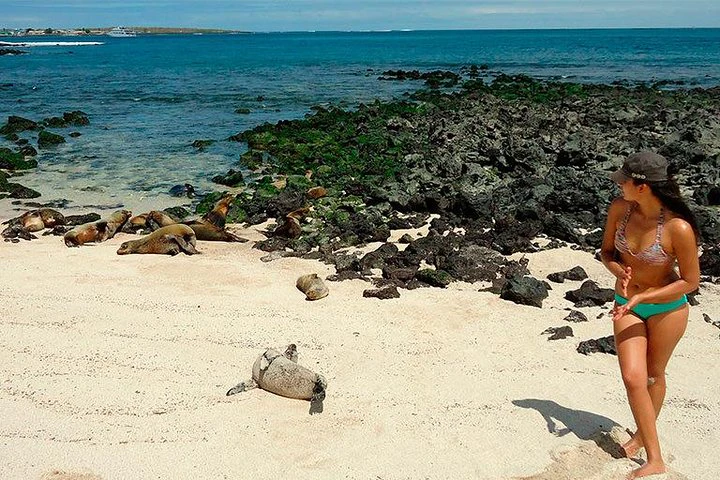 Galápagos: 4 días explorando la isla de San Cristóbal - imagen #5