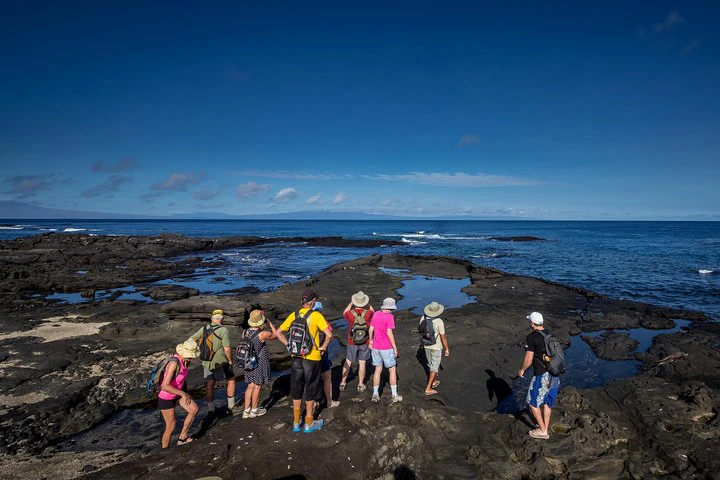 Excursión de día completo a Seymour, la Isla Norte y Las Bachas - imagen #7