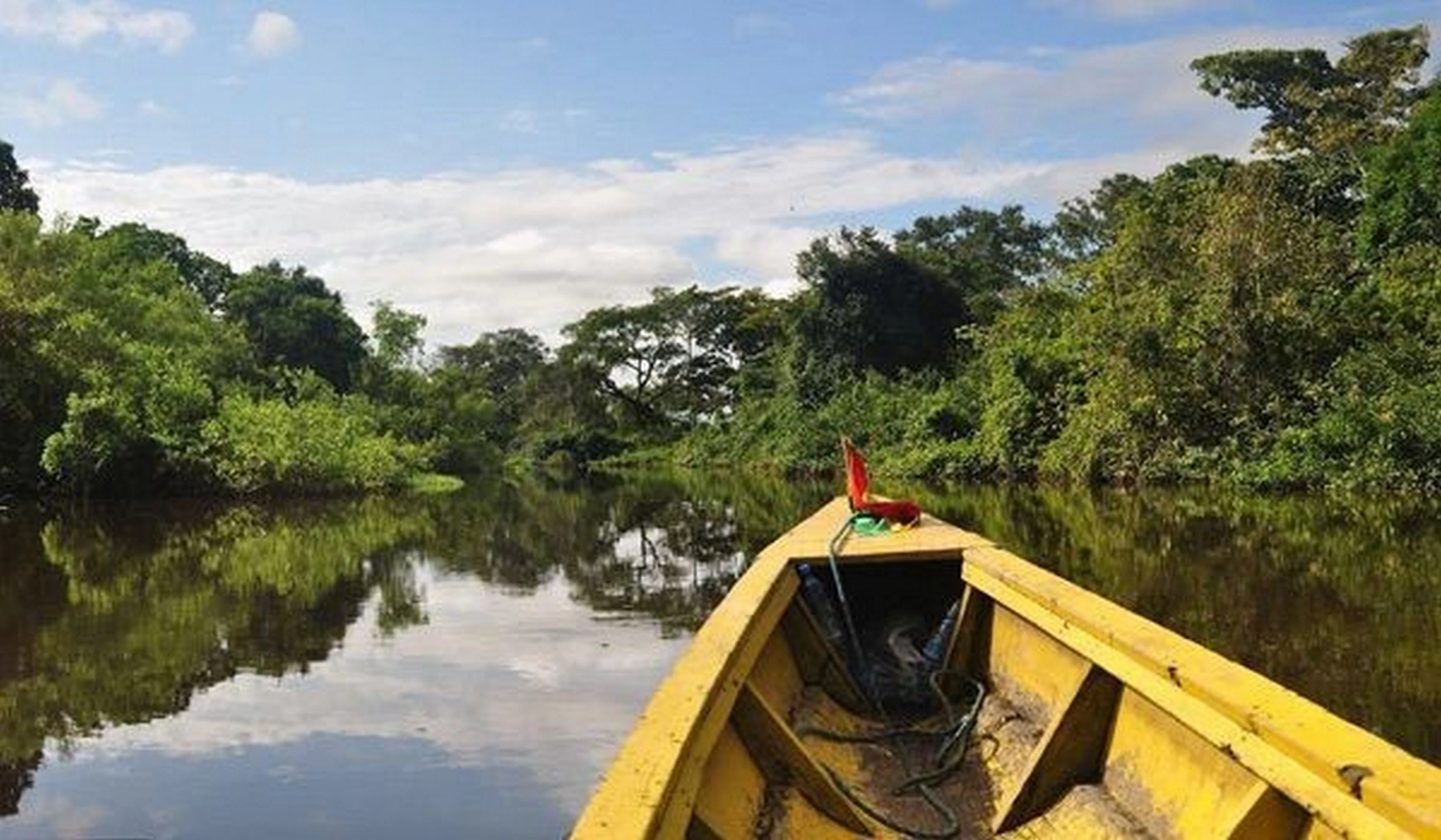 BO-RUR-04: Rurrenabaque | Selva y pampas, 5 días/4 noches: Descubriendo la naturaleza salvaje de la selva amazónica - imagen #19