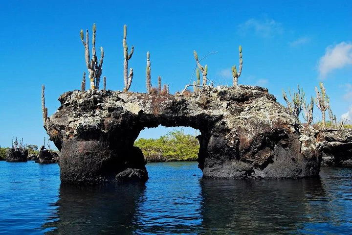 Galápagos: Santa Cruz e Isabela. Excursiones de 6 días - imagen #5