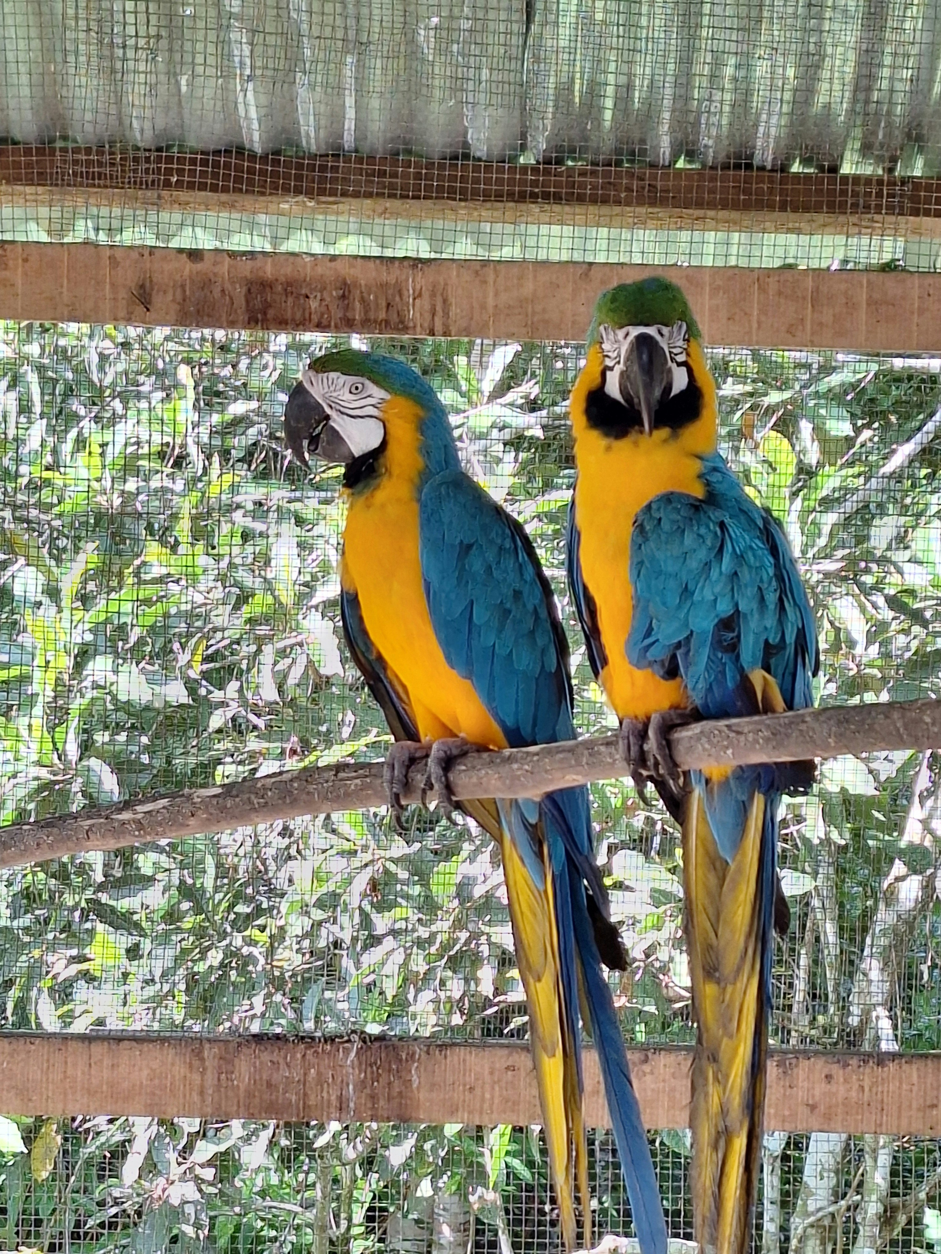 Pilpintuwasi Butterfly Farm and Native Tribes - imagen #12