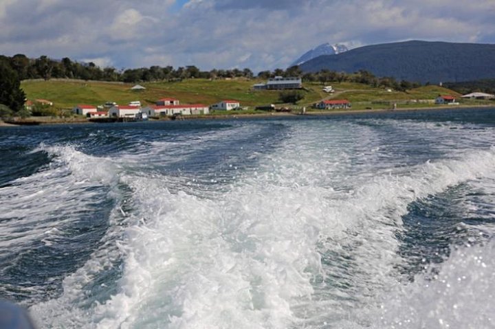Full Day Beagle Chanel Cruise from Ushuaia & Harberton Ranch Visit