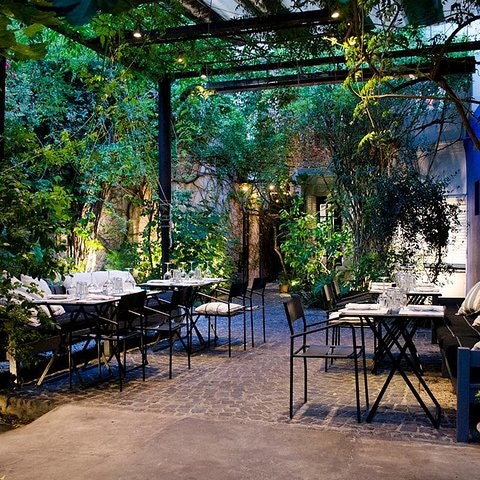 Tour de vinos argentinos premium y degustación gourmet - imagen #4